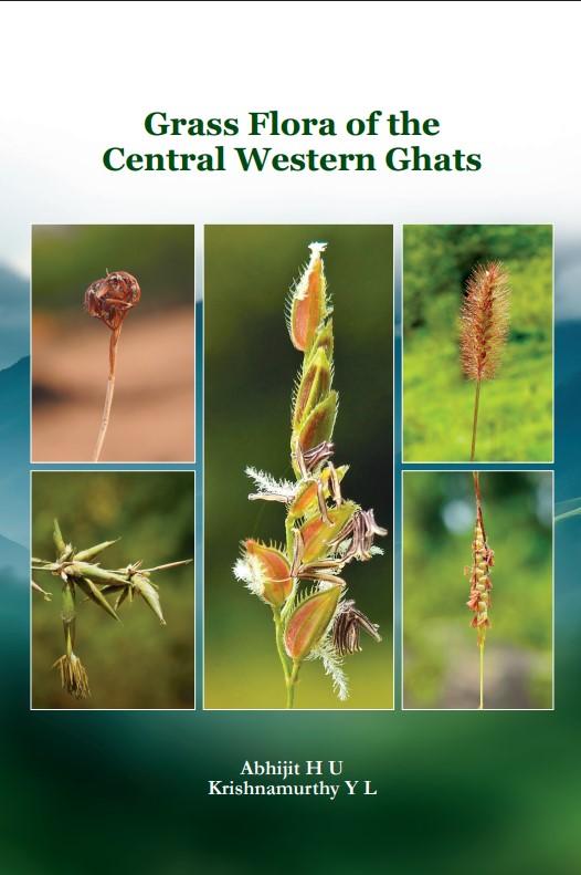 Mirrors of Greatness